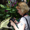 011 - IMG_6606.jpg