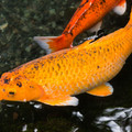 013 - IMG_6611.jpg