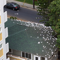 019 - IMG_6655.jpg
