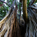028 - IMG_6723.jpg
