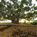 030 - IMG_6731.jpg