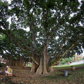 031 - IMG_6735.jpg