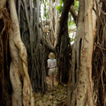 032 - IMG_6746.jpg