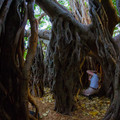 033 - IMG_6750.jpg