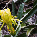050 - IMG_7000.jpg