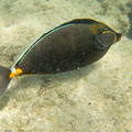 059 - IMG_0347.jpg