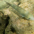 060 - IMG_0352.jpg