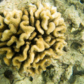 061 - IMG_0359.jpg