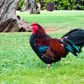 065 - IMG_0395.jpg