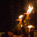 082 - IMG_7602.jpg