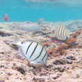 085 - IMG_0424.jpg
