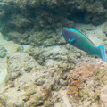 086 - IMG_0431.jpg