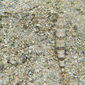 088 - IMG_0445.jpg