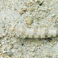 089 - IMG_0448.jpg