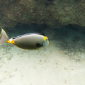 091 - IMG_0460.jpg
