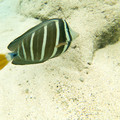 093 - IMG_0480.jpg