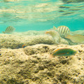 094 - IMG_0499.jpg