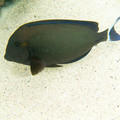 095 - IMG_0504.jpg