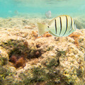 096 - IMG_0510.jpg