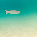 097 - IMG_0515.jpg