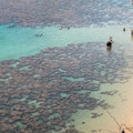 099 - IMG_0578.jpg