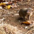 100 - IMG_0582.jpg