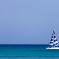 105 - IMG_7682.jpg