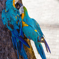 113 - IMG_7743.jpg
