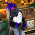 123 - IMG_7840.jpg