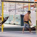 145 - IMG_8221.jpg