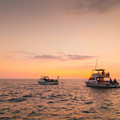 147 - IMG_0617.jpg