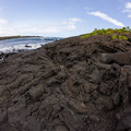 162 - IMG_8489.jpg
