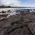 163 - IMG_8490.jpg
