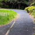165 - IMG_8543.jpg