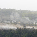 166 - IMG_8559.jpg