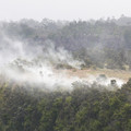170 - IMG_8592.jpg