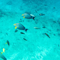 197 - IMG_0775.jpg