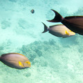 198 - IMG_0778.jpg