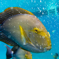 200 - IMG_0793.jpg