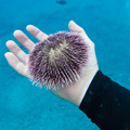 201 - IMG_0800.jpg