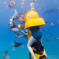 202 - IMG_0809.jpg