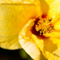 247 - IMG_9391.jpg
