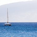 252 - IMG_9461.jpg