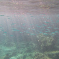 265 - IMG_0964.jpg