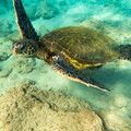266 - IMG_0965.jpg
