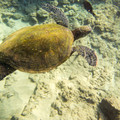 267 - IMG_0966.jpg