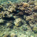 269 - IMG_0997.jpg