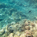 270 - IMG_0998.jpg