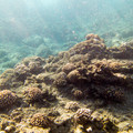 272 - IMG_1016.jpg