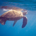 273 - IMG_1026.jpg